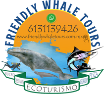 Friendly Whale Tours